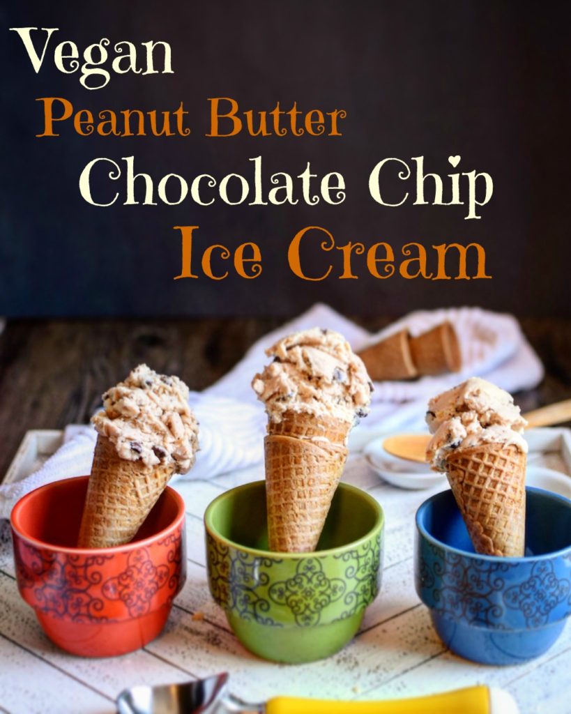 vegan peanut butter chocolate chip ice cream