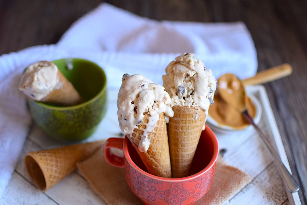 vegan peanut butter chocolate chip ice cream