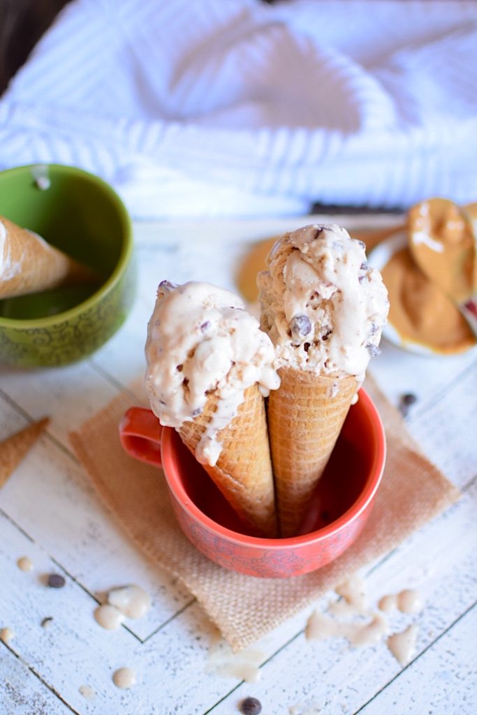 vegan peanut butter chocolate chip ice cream