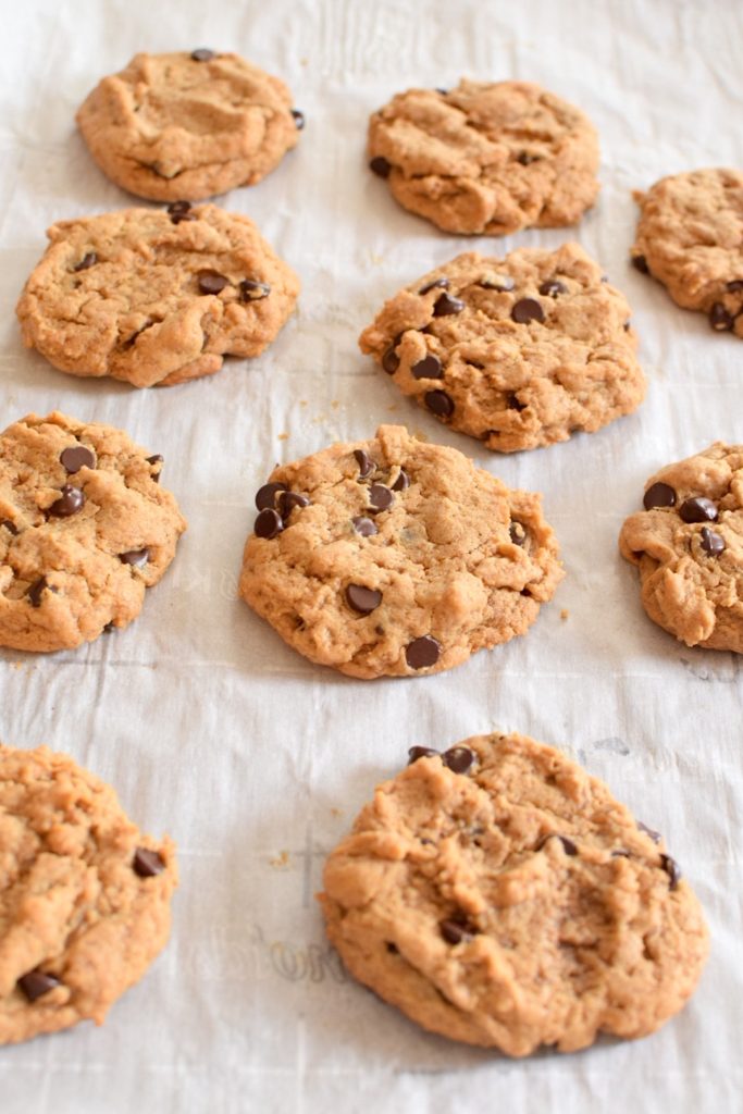 Grain Free Peanut Butter Chocolate Chip Cookies