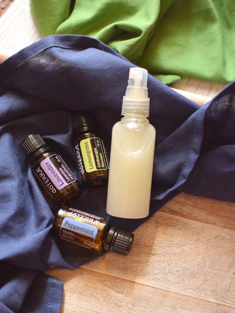 DIY Non Toxic Bug Spray