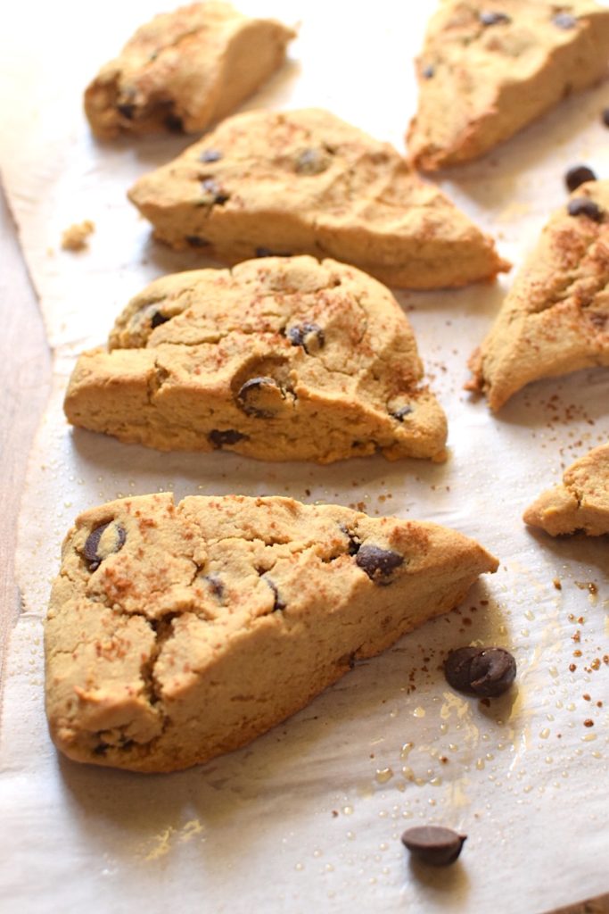 Paleo, Sugar-Free Chocolate Chip Scones - Anti Candida