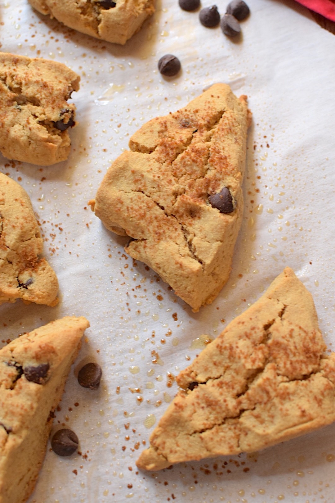 Paleo, Sugar-Free Chocolate Chip Scones - Anti Candida