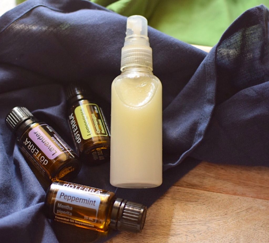 DIY Non Toxic Bug Spray